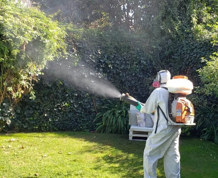 Okey Desinfección | Control de Plagas Domiciliarias y Limpieza de Tanques