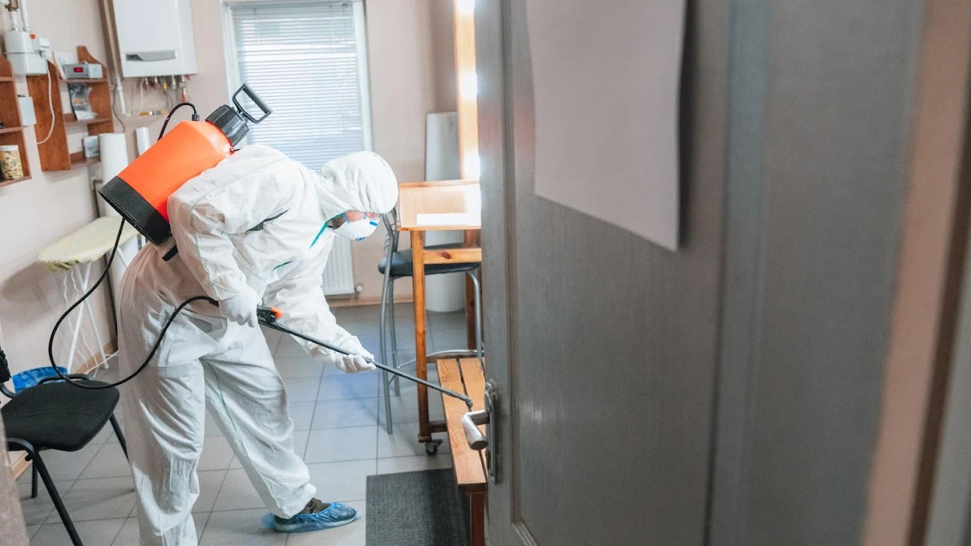 Okey Desinfección | Control de Plagas Domiciliarias y Limpieza de Tanques