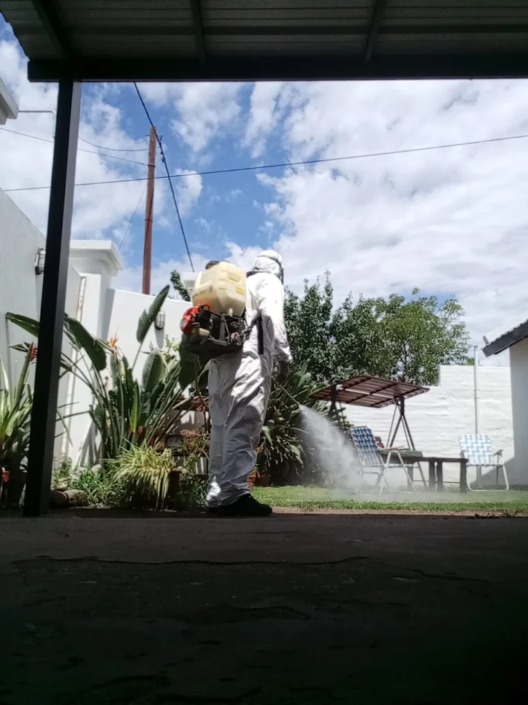 Onda Verde | Fumigaciones, Desinfecciones y Plagas