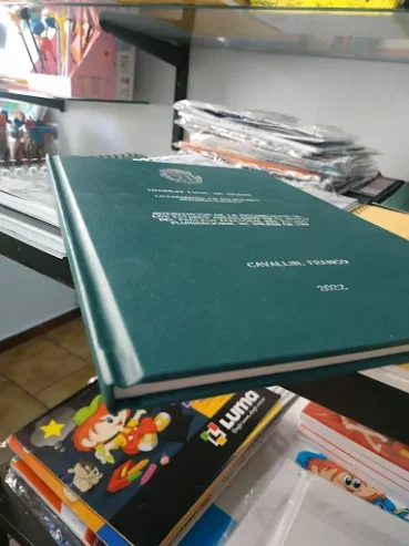 Imprenta Ingreso | Impresión Digital, Papelería Comercial y Copiado Técnico para Estudiantes, Profesionales y Negocios