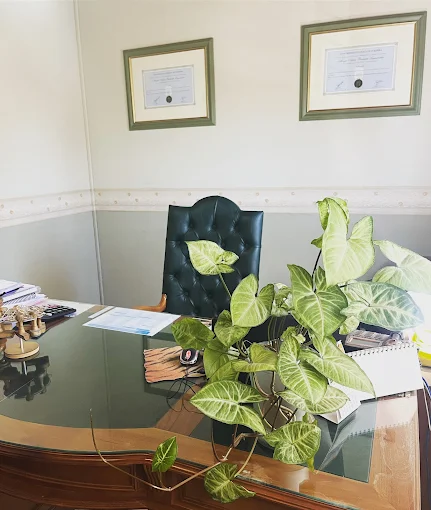 Escribania Porchietto | Escribanía con 10 Años de Experiencia, Asesoramiento Jurídico y Tranquilidad para tus Negocios