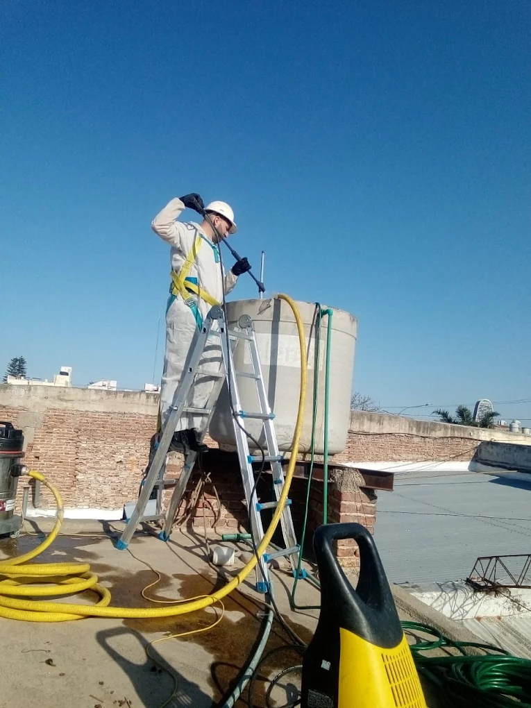 Onda Verde | Fumigaciones, Desinfecciones y Plagas