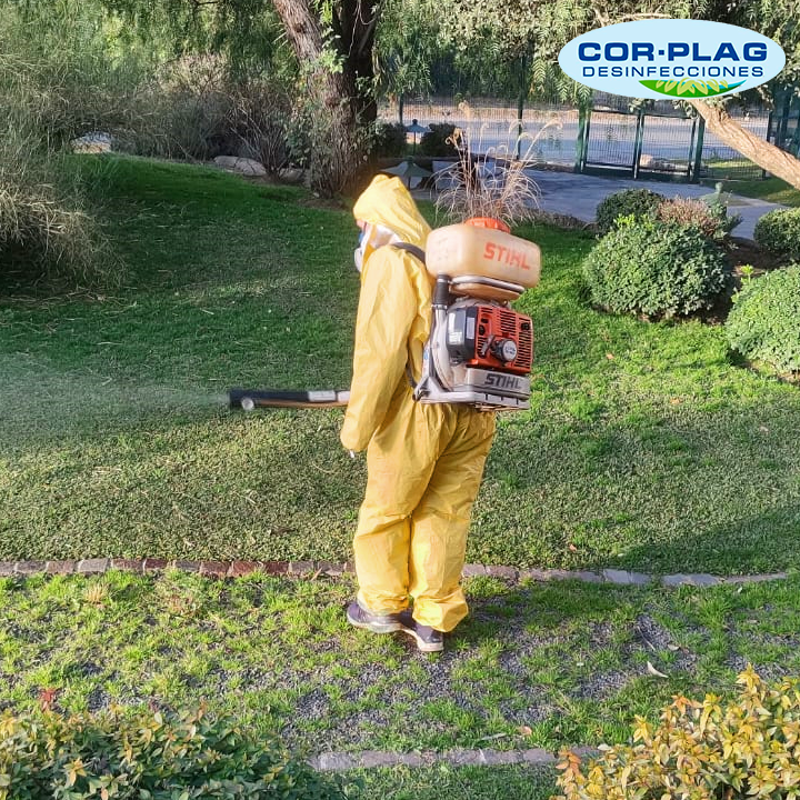 Cor Plag Desinfecciones | Control de Plagas, Desinfecciones