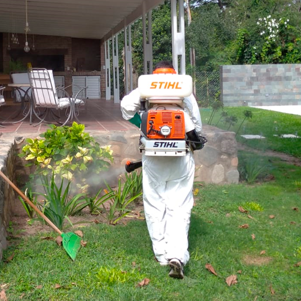 Cor Plag Desinfecciones | Control de Plagas, Desinfecciones