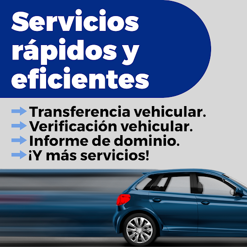 Gestoría del Automotor Express | Transferencia, Informes de Dominio y Multas