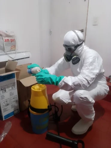 Fumigaciones Angelita Muñoz | Control de Plagas, Desratización