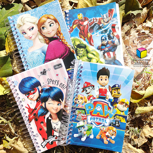 Productos Gráficos | Impresión Offset, Papelería Institucional y Productos Promocionales