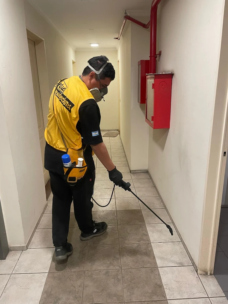 Ciudad Desinfecciones | Control de Plagas, Limpieza de Tanques