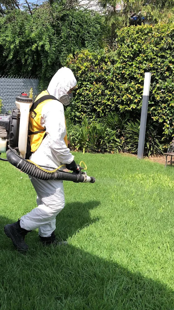 Ciudad Desinfecciones | Control de Plagas, Limpieza de Tanques