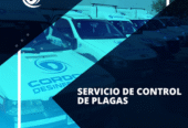 Córdoba Desinfecciones | Fumigación y Control de Plagas