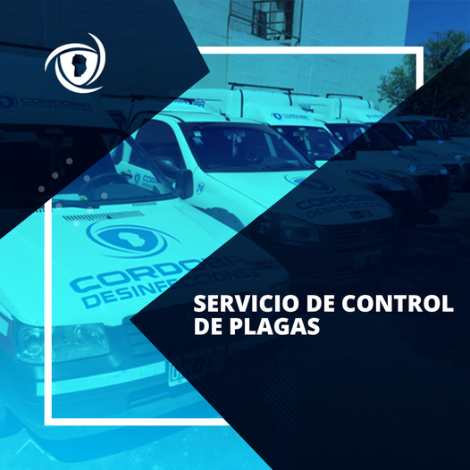 Córdoba Desinfecciones | Fumigación y Control de Plagas