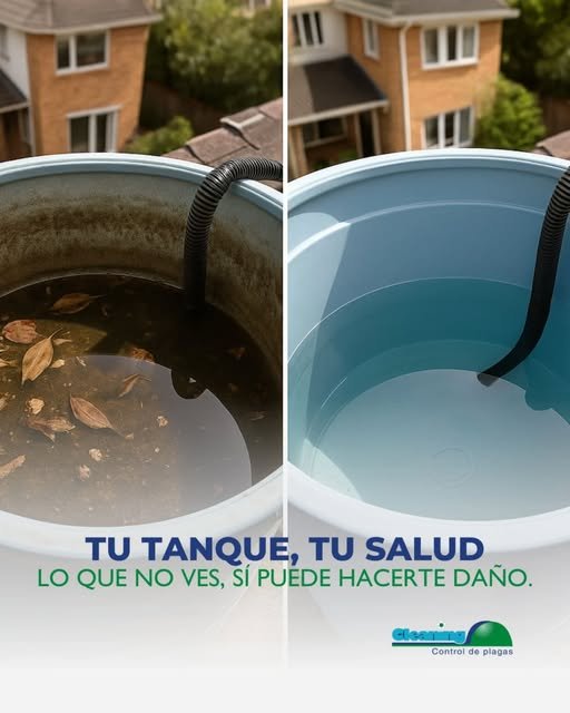 Cleaning Desinfecciones | Control de Plagas y Desinfecciones