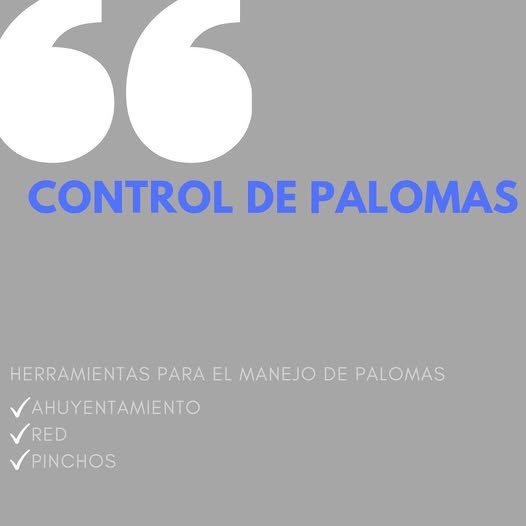 BIO Desinfecciones | Desinsectación y Desratización