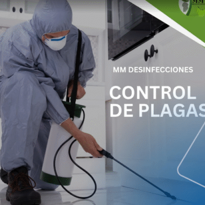 Captura-de-pantalla-2025-09-02-162106