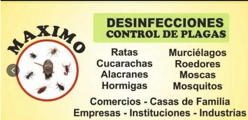 Máximo Desinfecciones | Control de Plagas y Desinfecciones