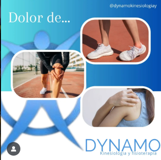 Dynamo | Kinesiología y Fisioterapia  – Rehabilitación
