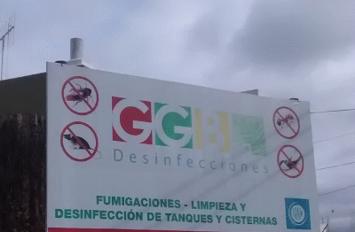 Captura-de-pantalla-2025-09-13-022342