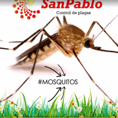 Captura-de-pantalla-2025-09-13-034807