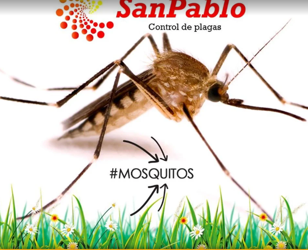 San Pablo Control de Plagas | Manejo Integral de Plagas Urbanas