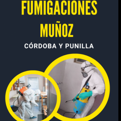 Captura-de-pantalla-2025-09-17-121410