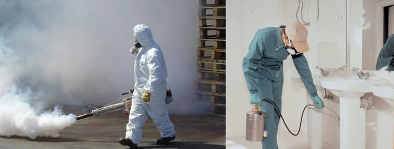 Ecocontrol | Sanidad Ambiental y Control de Plagas