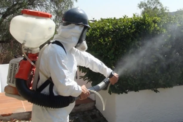 Ecocontrol | Sanidad Ambiental y Control de Plagas
