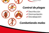 Sur Desinfecciones | Control de Plagas, Desinfección