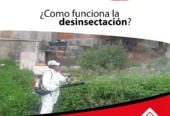 Sur Desinfecciones | Control de Plagas, Desinfección
