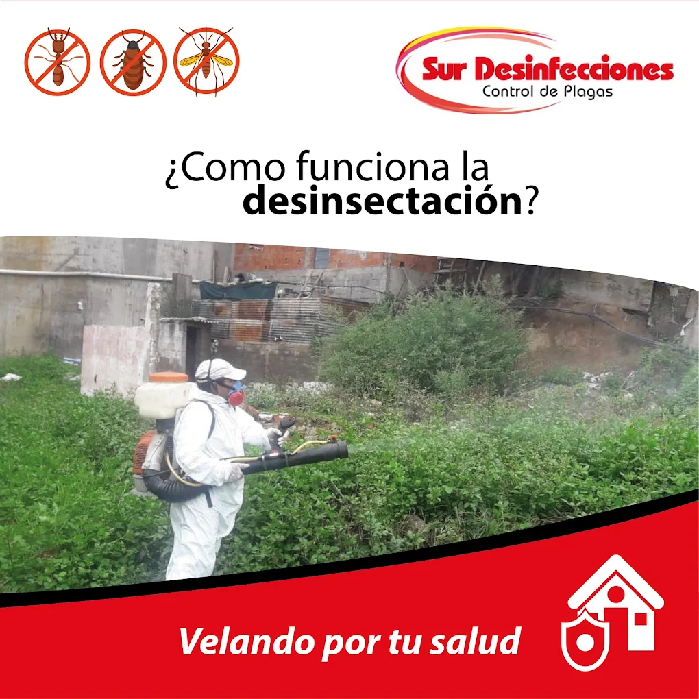 Sur Desinfecciones | Control de Plagas, Desinfección