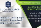 Gestión Sobre Ruedas | Gestoría del Automotor, Trámites de Vehículos