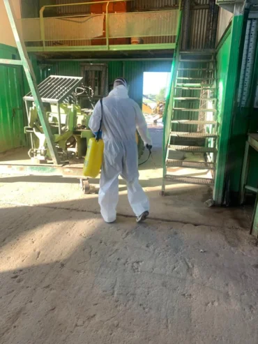 Arbin Argentina | Fumigación y Control de Plagas con Soluciones Innovadoras