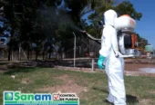 Sanam Desinfecciones | Control de Plagas