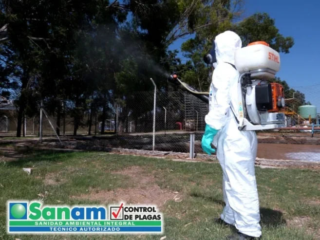 Sanam Desinfecciones |  Control de Plagas