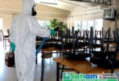 Sanam Desinfecciones | Control de Plagas