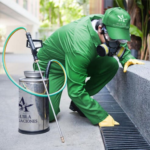 Águila Fumigaciones | Control de Plagas, Desinfección