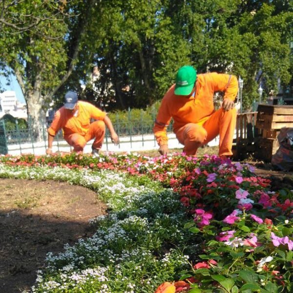 Lord Green SRL | Mantenimiento Edilicio, Limpieza y Espacios Verdes