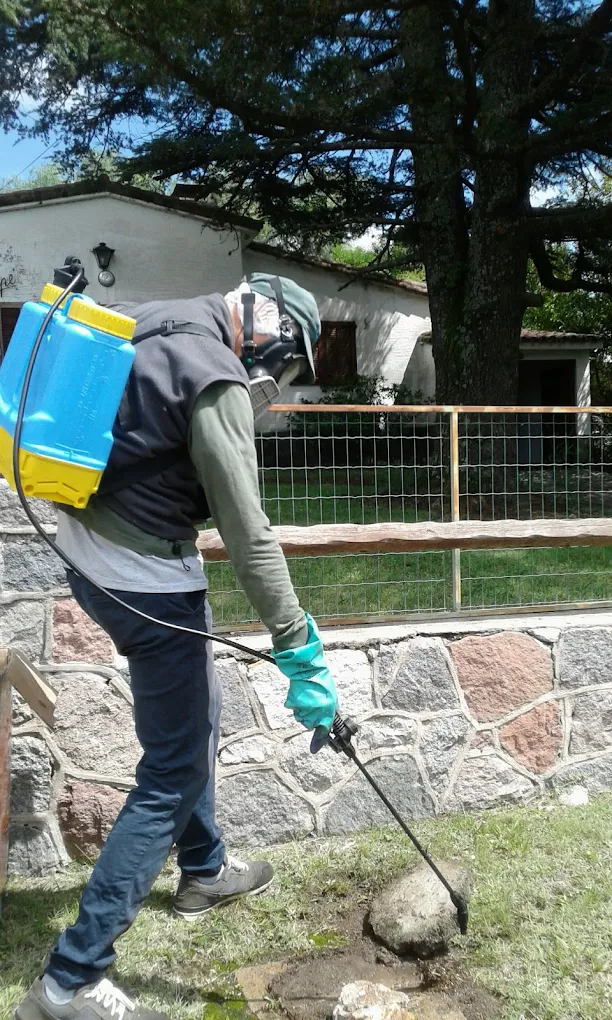 Desinfecciones Integrales Córdoba | de Plagas y Desinfecciones