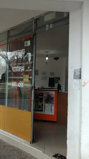 La Palmera Impresiones | Impresión Digital, Ploteos Personalizados y Soluciones Visuales