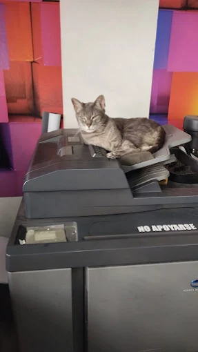 Punto Color | Impresión Digital, Ploteos Técnicos y Servicios de Copiado