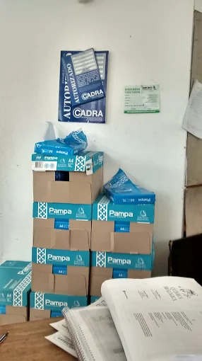 La Palmera Impresiones | Impresión Digital, Ploteos Personalizados y Soluciones Visuales