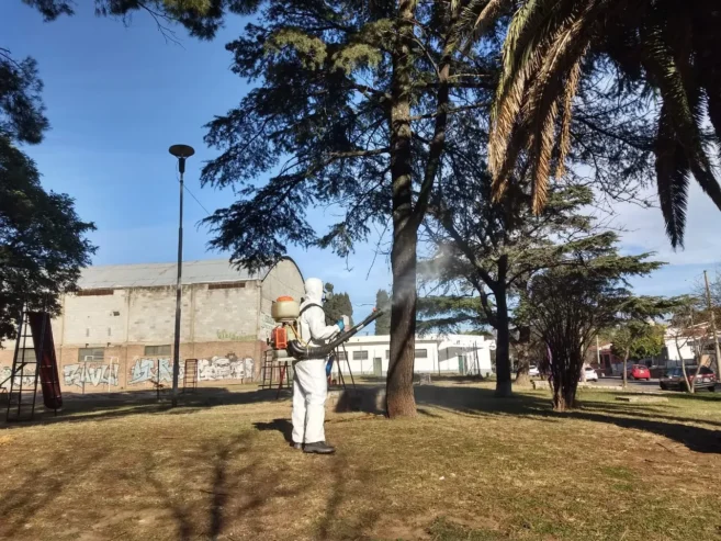 RAGNO Fumigaciones Córdoba | Control de Plagas