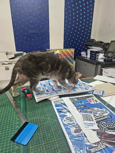 Punto Color | Impresión Digital, Ploteos Técnicos y Servicios de Copiado