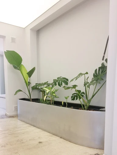 Dentalred | Red de Atención Odontológica