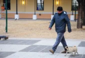 Dream Dog | Pensión Canina , Adiestramiento Certificado y Guardería Canina en Córdoba