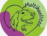 Multihuellitas | Guardería Canina “Como en Casa” y Paseos para tu Peludito en Córdoba