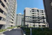Servicios Inmobiliarios