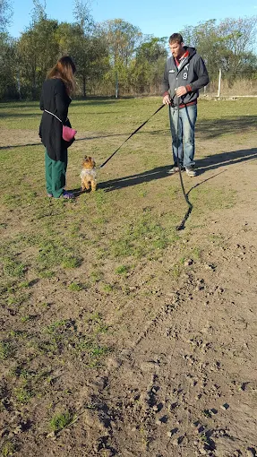 JR Adiestramiento | Centro de Capacitación Canina