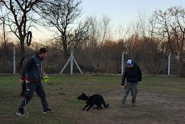 JR Adiestramiento | Centro de Capacitación Canina
