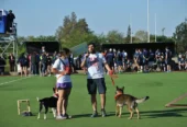 CANRUN | Entrenamiento Canino, Educación y Coaching para Personas y Perro en Córdoba