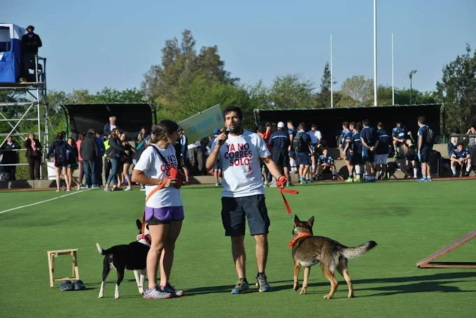 CANRUN | Entrenamiento Canino, Educación y Coaching para Personas y Perro en Córdoba